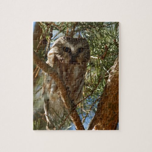 Perched Northern Saw_whet Owl Jigsaw Puzzle