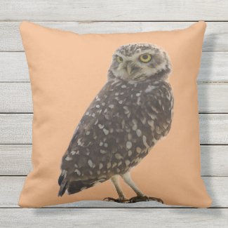 My Favorite Cute Owl Decorative Pillows For Owl Lovers