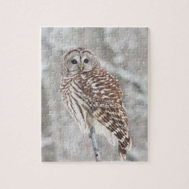 Perched Owl - Puzzle (Vertical)