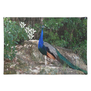 Perched Peacock Placemat