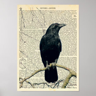 Perched Raven, Crow, Edgar Allan Poe, Gothic Poster