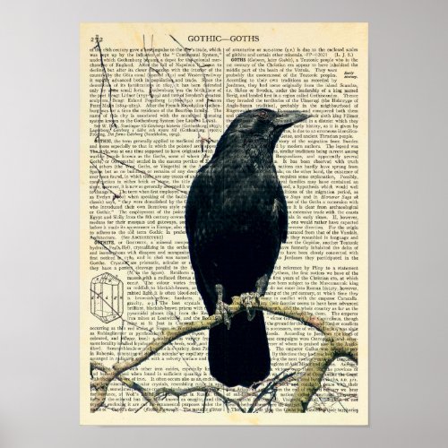 Perched Raven Crow Edgar Allan Poe Gothic Poster