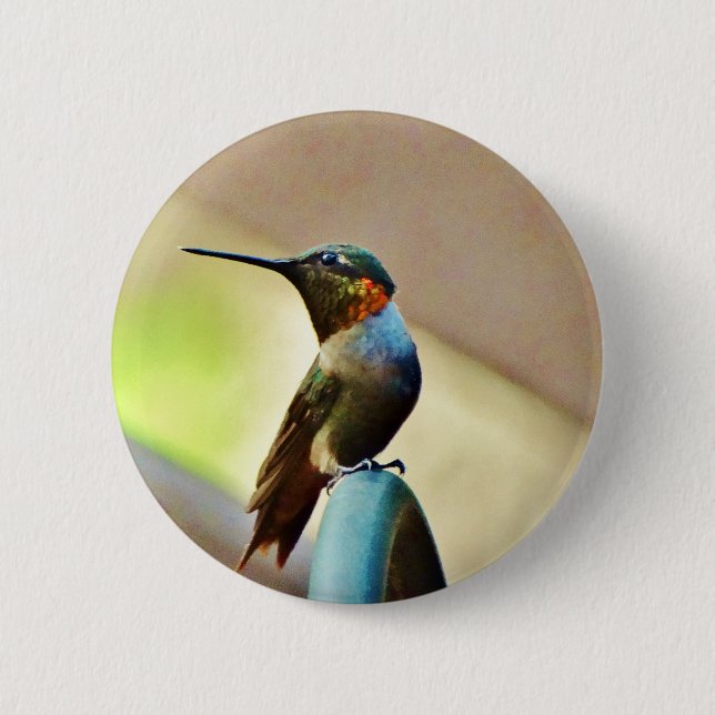 Perched Ruby and Green  little Hummingbird Button (Front)