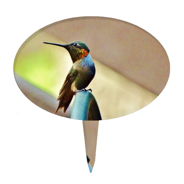 Perched Ruby and Green  little Hummingbird Cake Topper (Front)
