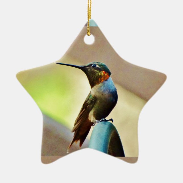 Perched Ruby and Green  little Hummingbird Ceramic Ornament (Front)