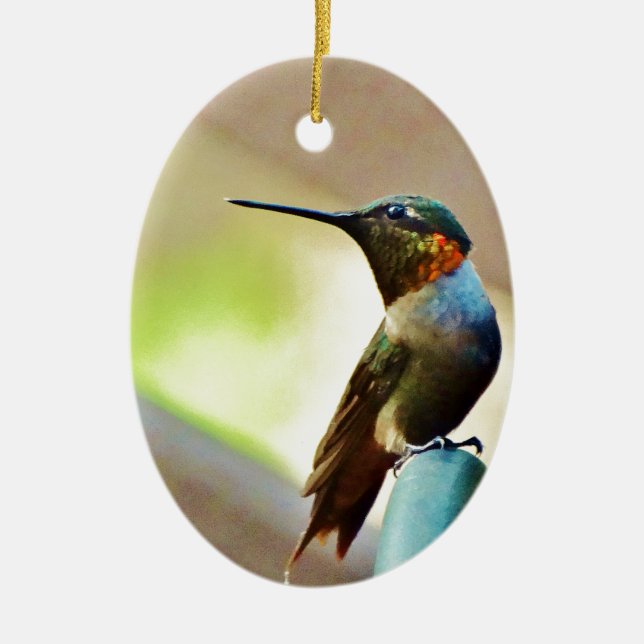 Perched Ruby and Green  little Hummingbird Ceramic Ornament (Front)