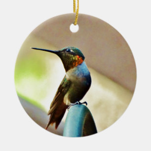 Perched Ruby and Green little Hummingbird Ceramic Ornament