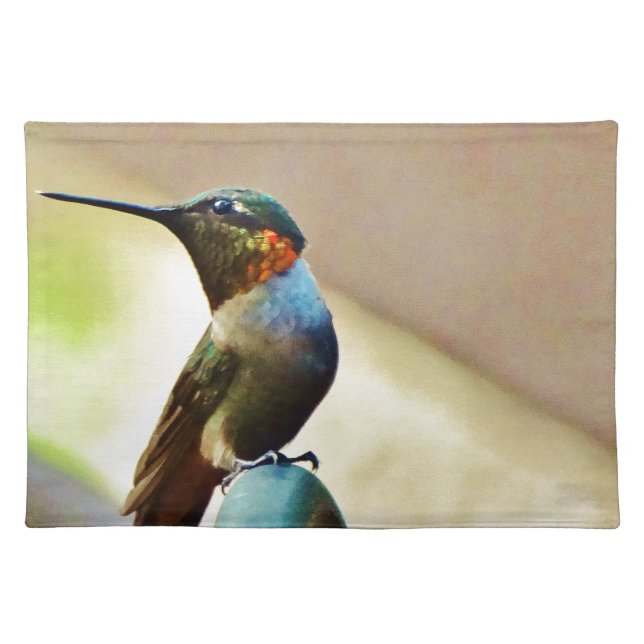 Perched Ruby and Green  little Hummingbird Cloth Placemat (Front)