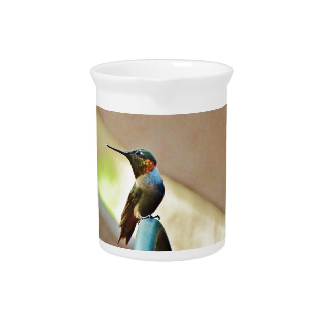 Perched Ruby and Green  little Hummingbird Drink Pitcher (Front)