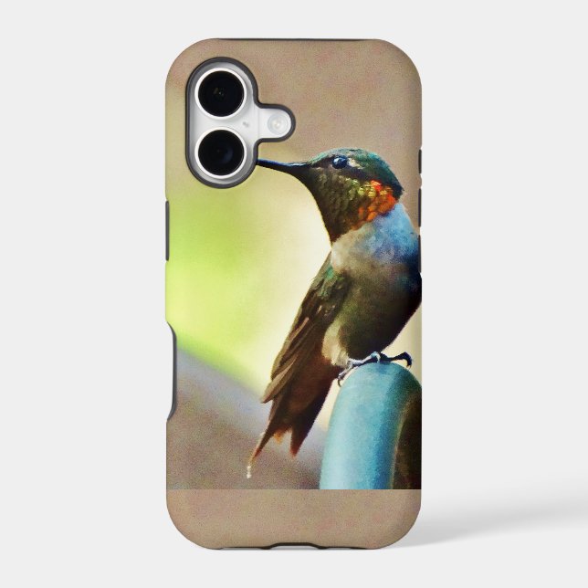 Perched Ruby and Green  little Hummingbird Iphone Case (Back)