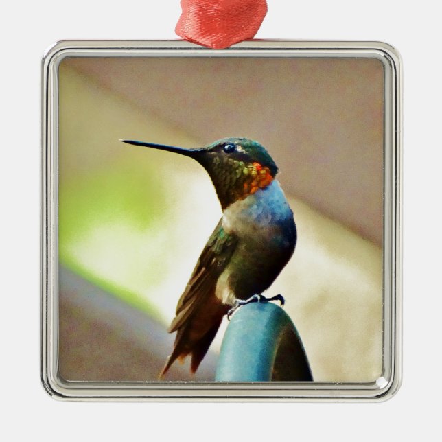 Perched Ruby and Green  little Hummingbird Metal Ornament (Front)
