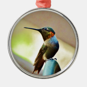 Perched Ruby and Green little Hummingbird Metal Ornament