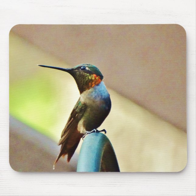 Perched Ruby and Green  little Hummingbird Mouse Pad (Front)