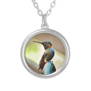 Perched Ruby and Green little Hummingbird Silver Plated Necklace