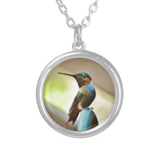 Perched Ruby and Green  little Hummingbird Silver Plated Necklace