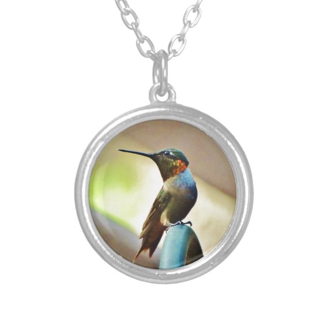 Perched Ruby and Green  little Hummingbird Silver Plated Necklace (Front)