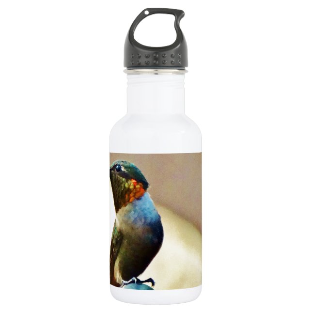 Perched Ruby and Green  little Hummingbird Stainless Steel Water Bottle (Front)