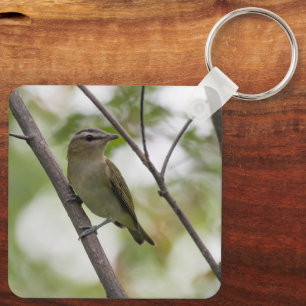 Perched Vireo, Gentle Forest Songbird Keychain