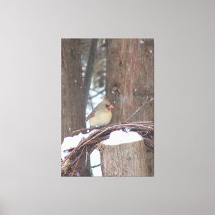 Perched With Beauty Canvas Print