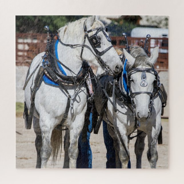 Percheron Draft Horse Jigsaw Puzzle (Vertical)