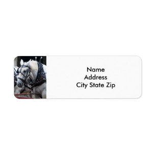 Percheron Draft Horse Label