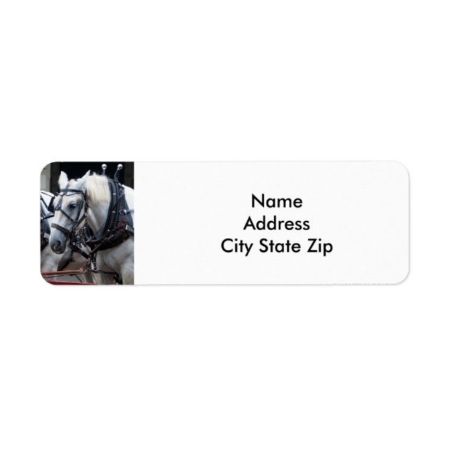 Percheron Draft Horse Label (Front)