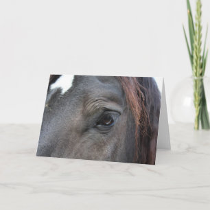 Percheron horse greeting card