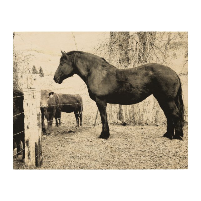 Percheron Mare Wood Wall Art (Front)