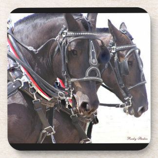 Percheron Team Coasters