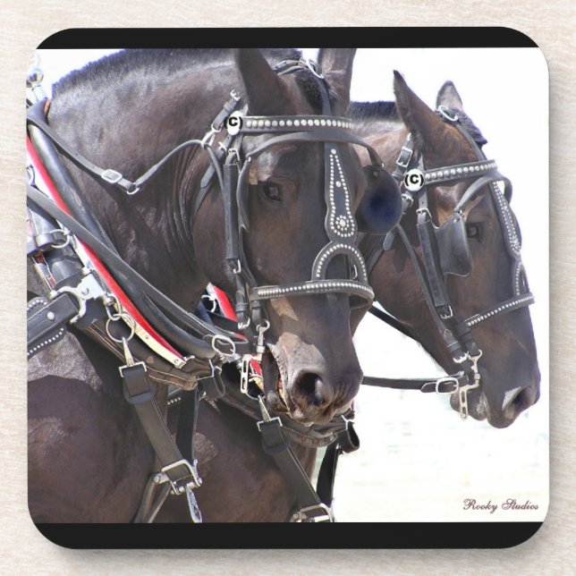 Percheron Team Coasters (Front)