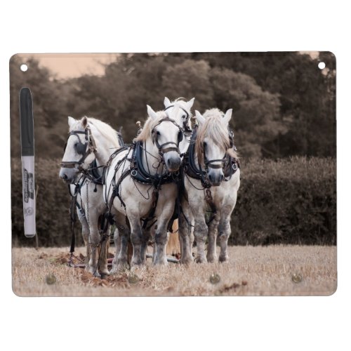 Percheron team of four dry erase board with keychain holder