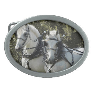 Percheron Team Oval Belt Buckle