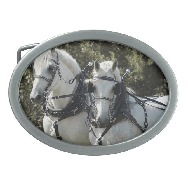 Percheron Team Oval Belt Buckle (Front)