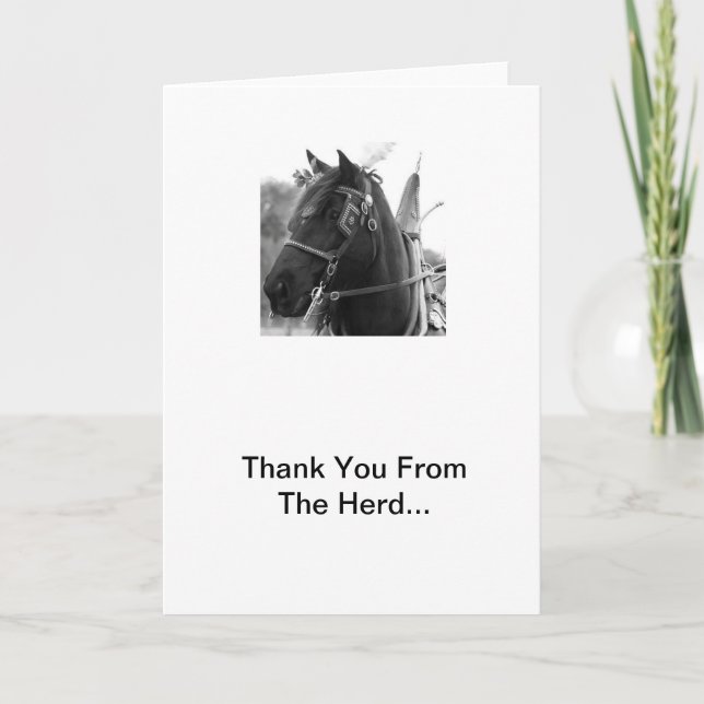 Percheron Thunder In Harness Thank You Cards (Front)