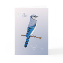Perching Blue Jay Folded Thank You Card