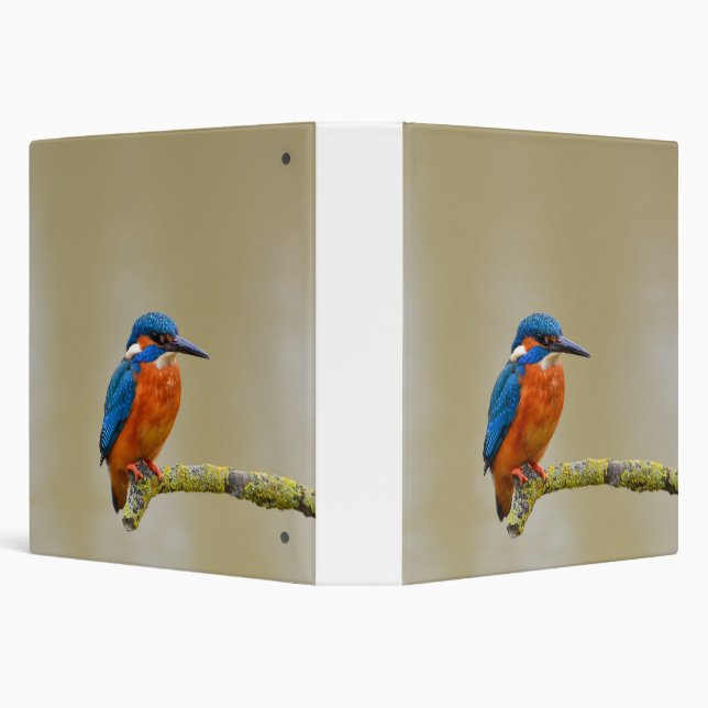 Perching Kingfisher 3 Ring Binder (Background)