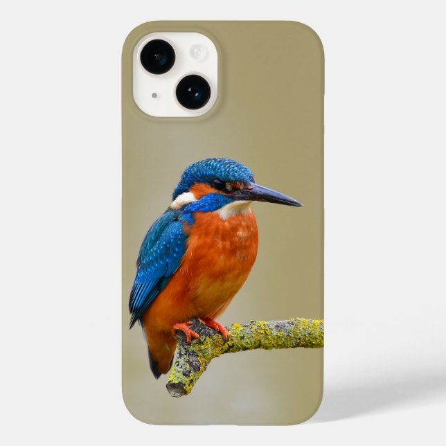 Perching Kingfisher Case-Mate iPhone Case (Back)
