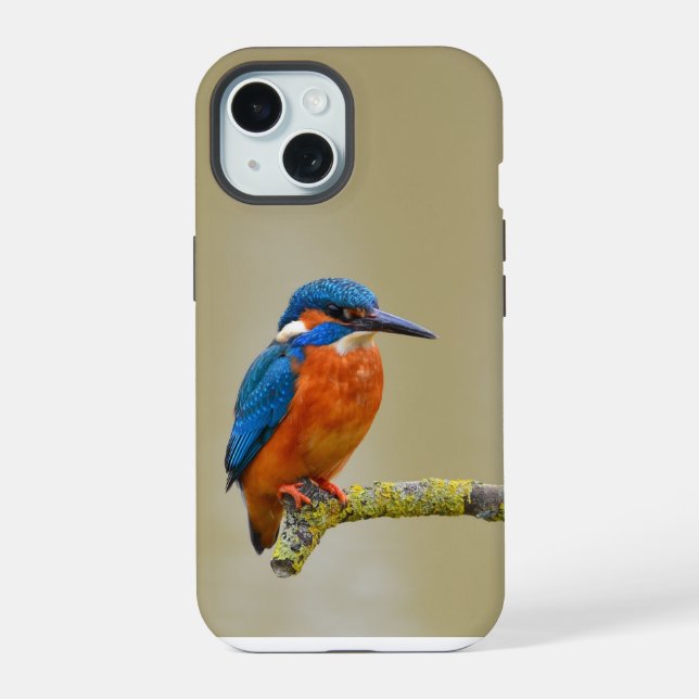 Perching Kingfisher Iphone Case (Back)