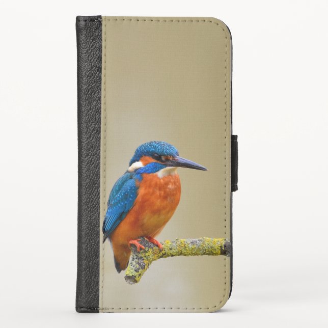 Perching Kingfisher iPhone Wallet Case (Front)