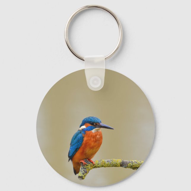 Perching Kingfisher Keychain (Front)