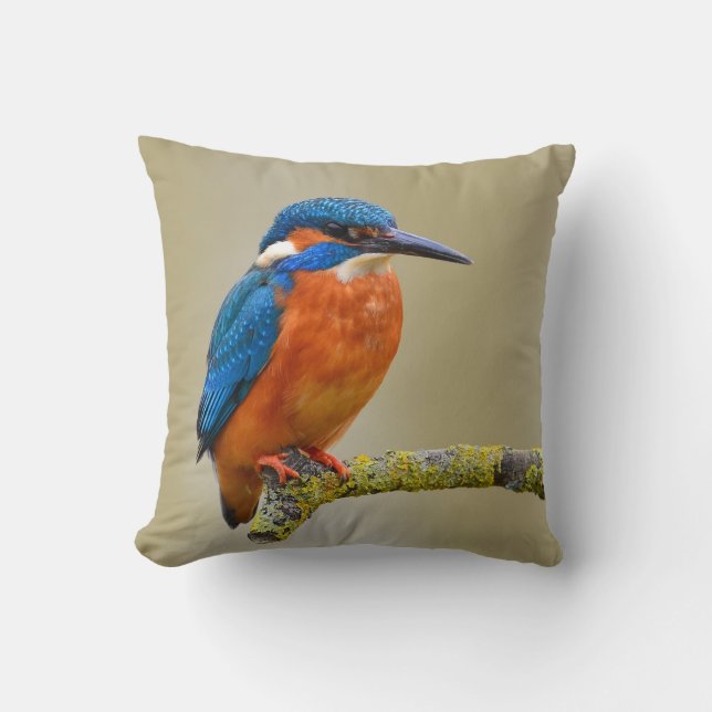 Perching Kingfisher Throw Pillow (Front)