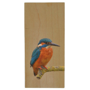 Perching Kingfisher Wood USB Flash Drive