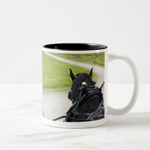 Perchon horses pulling cart  against historic Two_Tone coffee mug