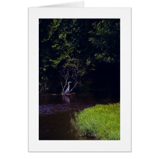 Percival's Isle, Lynchburg Virginia Cards