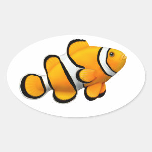 Percula Clown Anenome Fish Customizable Sticker