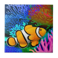 Percula Clown Anenome Fish Tile