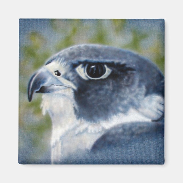 Peregrine-airbrush Magnet (Front)