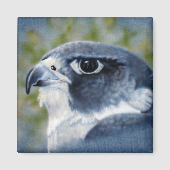 Peregrine airbrush Magnet