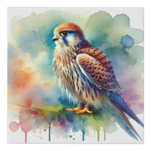 Peregrine Falcon 210924AREF141 - Watercolor Faux Canvas Print