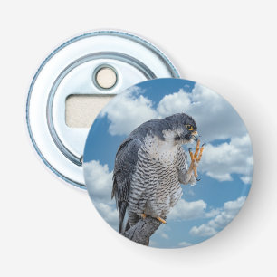 Peregrine Falcon along the Hudson River Bottle Opener